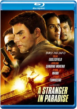 A Stranger in Paradise 2013 m720p BluRay x264-BiRD A Stranger in Paradise 2013 m720p BluRay x264-BiRD