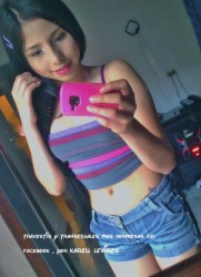 imagebam.com