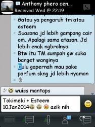 ImageBam image upload