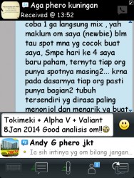 ImageBam image upload