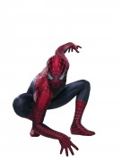 Человек Паук 3 / Spider-Man 3  (Тоби Магуайр, Кирстен Данст, 2007) 4e9b7f307799823
