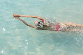 imagebam.com