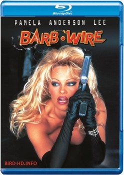Barb Wire 1996 m720p BluRay x264-BiRD Barb Wire 1996 m720p BluRay x264-BiRD