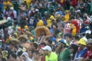 Mexico vs. Cameroon - 2014 FIFA World Cup Group A Match, Dunas Arena, Natal, Brazil, 06.13.14 (204xHQ) A3a404333296782