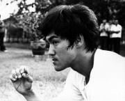 Большой босс / The Big Boss (Брюс Ли / Bruce Lee, 1971)  436d17333984453