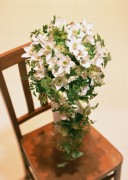 Праздничные цветы / Celebratory Flowers (200xHQ) 2b49fd337465969