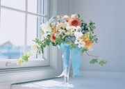 Праздничные цветы / Celebratory Flowers (200xHQ) 385c23337466355