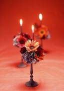 Праздничные цветы / Celebratory Flowers (200xHQ) 97fbe3337465259