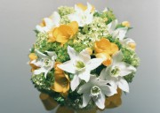 Праздничные цветы / Celebratory Flowers (200xHQ) A32c40337465646
