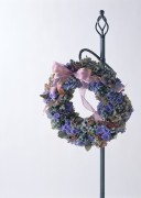 Праздничные цветы / Celebratory Flowers (200xHQ) A3ffe3337465577