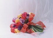 Праздничные цветы / Celebratory Flowers (200xHQ) B1f12d337466192