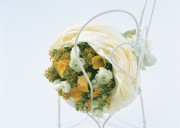 Праздничные цветы / Celebratory Flowers (200xHQ) D7e9eb337465520