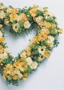 Праздничные цветы / Celebratory Flowers (200xHQ) Ee32a0337465213