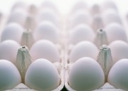 Яйца в лотке (6xUHQ)  Fe56bb337481312