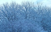 Winter / Зима - (166xHQ)  0c2e94337519350