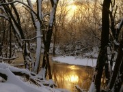 Winter / Зима - (166xHQ)  1924a2337519942