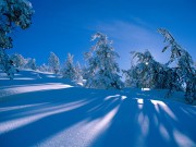 Winter / Зима - (166xHQ)  6429f0337519733