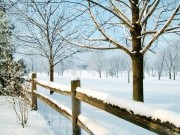 Winter / Зима - (166xHQ)  831ec5337519492