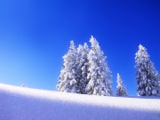 Winter / Зима - (166xHQ)  92905b337519477