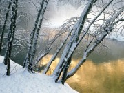 Winter / Зима - (166xHQ)  D8d96c337519762
