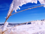 Winter / Зима - (166xHQ)  E377b2337519224