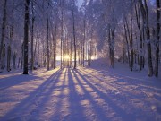 Winter / Зима - (166xHQ)  F7e9f7337519676