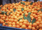 Обильный урожай фруктов (195xHQ) D74817338639245