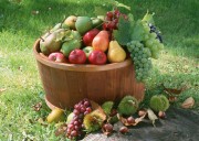 Обильный урожай фруктов (195xHQ) 2debdb338640605
