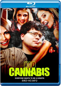 Kid Cannabis 2014 m720p BluRay x264-BiRD Kid Cannabis 2014 m720p BluRay x264-BiRD