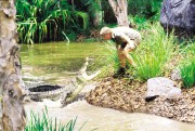 Охотник на крокодилов: Схватка / The Crocodile Hunter Collision Course (2002) (11xHQ) 7b5db3342789155