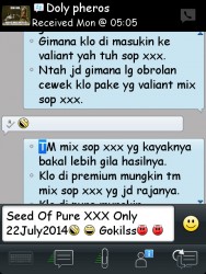 ImageBam image upload