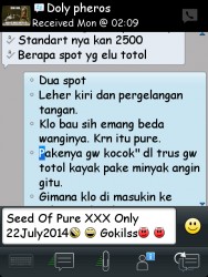 ImageBam image upload