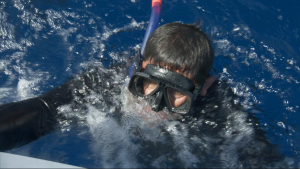 BBC: ������� ������� / Ocean Giants (2011/BDRip 720p)