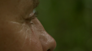 BBC: ������� ������� / Ocean Giants (2011/BDRip 720p)