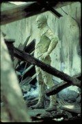 Болотная тварь / Swamp Thing (1982) 9ea7fe357267140