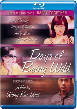 Days of Being Wild 1990 m720p BluRay x264-BiRD Days of Being Wild 1990 m720p BluRay x264-BiRD