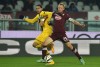 Фотогалерея Torino FC - Страница 3 035f20361008067