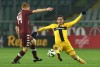 Фотогалерея Torino FC - Страница 3 Ea2e32361008035