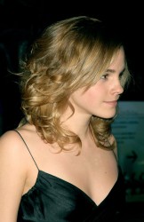 http://thumbnails112.imagebam.com/36160/9c55d8361595329.jpg