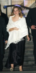 http://thumbnails112.imagebam.com/36160/f55c47361595537.jpg