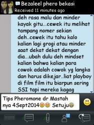 ImageBam image upload