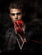 Дневники вампира / The Vampire Diaries (сериал 2009 - ) 548576390039513