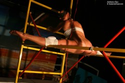 [Image: e5571a391779099.jpg]