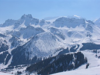796dda400309102.jpg