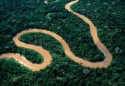 Амазония: Инструкция по выживанию / Amazonia (2013) 4f00ad401069923
